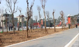 Khu ao số 3 thôn Nhuế, xã Kim Chung, Đông Anh, Hà Nội nay đã trở thành công viên cây xanh