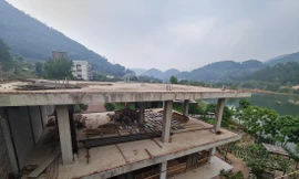 Thôn Minh Tân, xã Minh Trí nhiều năm là “điểm nóng” về đất rừng