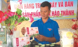 Để khôi phục, phát huy nét văn hóa của Thành Sen xưa và tạo nên những sản phẩm đặc trưng mới, thay đổi tập quán sản xuất của người dân, hướng đến phát triển du lịch, thành phố Hà Tĩnh triển khai dự án trồng sen quy mô lớn trên địa bàn