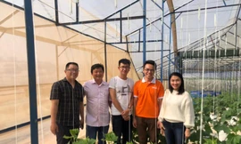 Làm giàu từ nông nghiệp xanh 