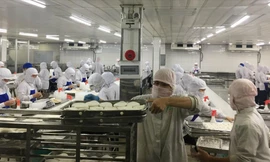 Thời điểm cuối năm nhưng Công ty CP Thực phẩm Agrex Sài Gòn chỉ hoạt động 60-65% công suất. Ảnh: U.P