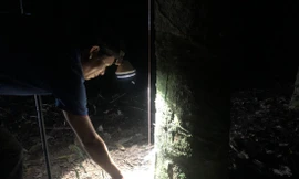 Chị Thanh Thúy cần mẫn cạo 500 cây cao su mỗi đêm, kiếm thu nhập từ 600.000-700.000 đồng/ngày