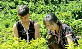 Lễ hội ớt A Riêu