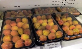 Vải thiều lên kệ siêu thị Nhật Bản. Nguồn: VOV