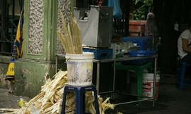 Rước hoạ vào thân từ nước uống đường phố