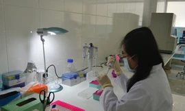 Khóc cười ADN: Cụ ông 70 có con với gái trẻ