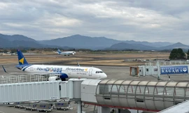 Nhiều chuyến bay charter từ TPHCM, Đà Nẵng tới Nhật Bản