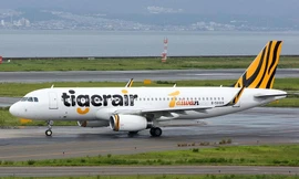 Hãng bay giá rẻ bất ngờ thưởng Tết cao chót vót