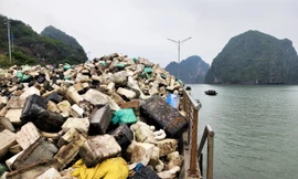 ‘Khách du lịch quan tâm hàng đầu về vấn đề môi trường’