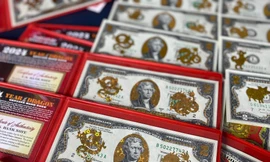 Săn lùng tiền mạ rồng vàng lì xì Tết