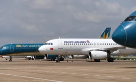 Pacific Airlines nhận chỉ đạo 'nóng' từ Cục Hàng không