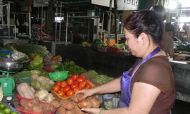 Khoai tây độc Trung Quốc vẫn đầy chợ