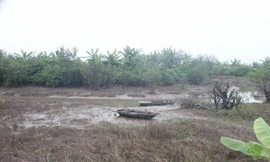 Khu đầm của gia đình ông Vươn sau vụ cưỡng chế đã bị tháo nước, cướp vét thủy sản Ảnh: L.K