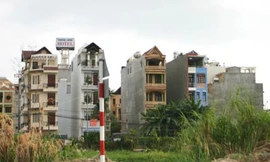 Hà Nội: Tạm dừng cấp đất, xây nhà cho công chức