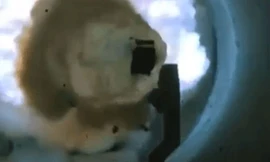 Cận cảnh siêu súng điện từ của hải quân Mỹ