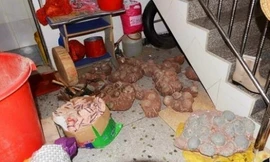 Trứng khủng long hóa thạch giấu dưới gầm cầu thang. Ảnh: SCMP.