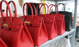 Đằng sau vẻ hào nhoáng của những chiếc túi xách hàng hiệu là những con cá sấu bị lột da không thương tiếc. 