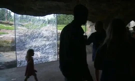 Tấm kính rạn nứt sau khi con gấu dùng đá đập vào cửa kính nhiều lần. Ảnh: Huffington Post.