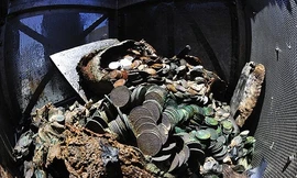 Tìm thấy kho báu tiền xu trị giá 1.000 tỉ đồng dưới đáy biển