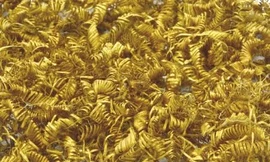 Khoảng 2000 cuộn vàng được cho là đồ trang sức trên trang phục và mũ đội đầu của một vị chủ tế. Ảnh: Live Science.