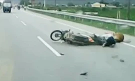Xe máy húc văng bò trên đường quốc lộ ở Thanh Hóa