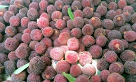 Giá mỗi cân thanh mai giá từ 100.000-150.000 đồng/kg.