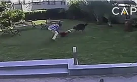 Chó dữ điên cuồng tấn công bé gái ở công viên