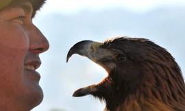 Một ngày đi săn cùng đại bàng trên cao nguyên