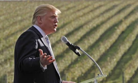 Khối tài sản khổng lồ của tỷ phú Donald Trump