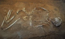 Một ngôi mộ khai quật tại nghĩa địa Passo Marinaro. Thi thể nằm nghiêng với phần đầu gối co lại. Ảnh: Live Science.