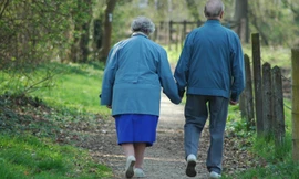 Ảnh minh họa: genebob.com.