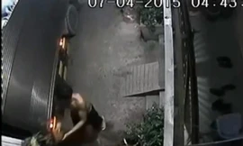 Hai người đàn ông mang xe tải đi trộm cây cảnh