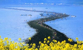 Con đường nhỏ lộ ra nối liền đảo Jindo và Modo.