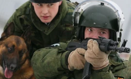 Bên trong trại huấn luyện chó đặc nhiệm Nga