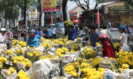 Chợ hoa xả hàng, người Sài Gòn tấp nập mua