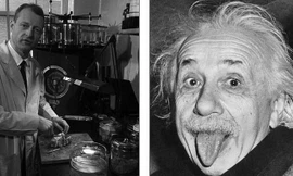 Nhà nghiên cứu bệnh học Thomas Harvey (ảnh trái, chụp năm 1955) được tin là đã trích lấy trái phép bộ não của Einstein, đem thái lát nó và gửi cho các chuyên gia nghiên cứu bệnh học thần kinh nổi tiếng trên thế giới. Ảnh: Getty Images/APIC.