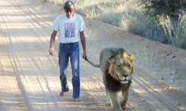 Người đàn ông 11 năm làm bạn bên sư tử