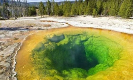 Vườn quốc gia Yellowstone (Mỹ) là thắng cảnh đẹp thu hút nhiều du khách. Trong vườn quốc gia này có hồ 'Morning Glory' nổi bật với màu sắc ấn tượng.