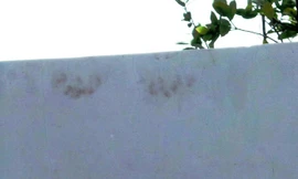 Dấu vân tay trên bức tường trắng. Ảnh: Trường Nguyên/Zing