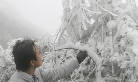 Đội mưa rét lên Sa Pa ngắm băng tuyết