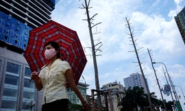 Thăm hàng cây mới trồng trên đường Nguyễn Chí Thanh 