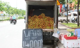 Các điểm bán vải lưu động có giấy phép sẽ giúp thị trường Hà Nội tiêu thụ lượng lớn vải thiều năm nay. Ảnh: Hồng Châu/ VnExpress