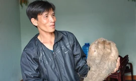 Anh Quyền đang cầm củ khoai có hình bàn tay.