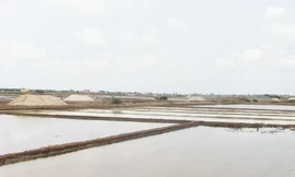 Ruộng muối ở huyện Đông Hải, Bạc Liêu. Ảnh chụp ngày 20/3.