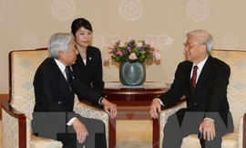 Nhật hoàng Akihito đón tiếp Tổng bí thư Nguyễn Phú Trọng hôm nay. Ảnh: TTXVN.