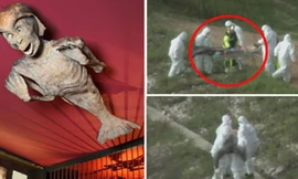 Hình ảnh sinh vật lạ khiến nhiều người nghi ngờ về sự tồn tại của người cá.