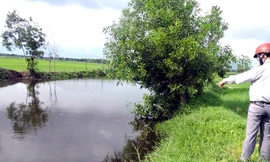 Khu vực mương nước mà 3 anh em tử vong. Ảnh: Xuân Mai.