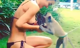 Con khỉ láu lỉnh “đòi” vạch ngực cô gái