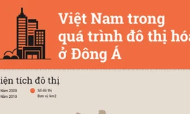 [ĐỒ HỌA] 10 năm đô thị hóa tại Việt Nam
