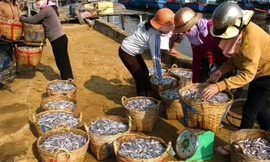 Ảnh minh họa. Internet.